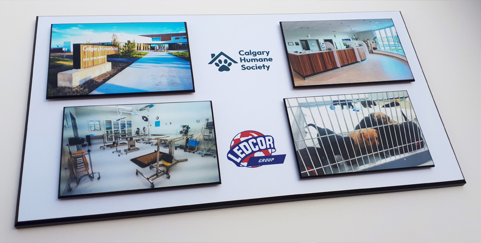 Creative Graphic Design and Concepts - Digital Projections